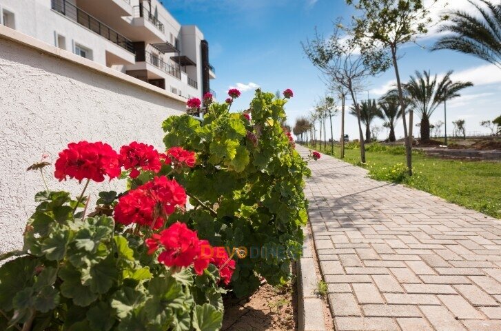 Bezugsfertig – 3-Zimmer-Apartment am Strand in Nordzyper /Agia Marina